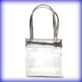 Amanda Clear Evening Handbag