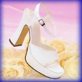 Cassidy High Heel Evening Shoes