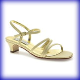 Lynn Low Heel Wide Evening Shoes