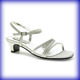 Lynn Low Heel Wide Evening Shoes
