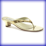 Neptune Low Heel Evening Shoes